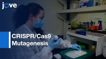 CRISPR/Cas9 Mutagenesis for Indel Detection using Melt Analysis | Protocol Preview