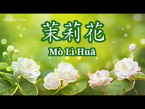 Video: Li Hua