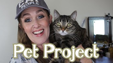 Pet Project {Spring 2019 Project Pan} - INTRO