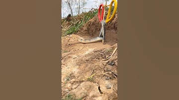 DIY Snake trap,short snake,Underground snake traps,daily trap,Scissors trap#snaketrap #shortvideo