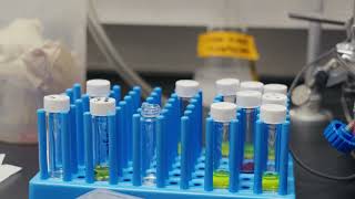 BME Basics: How to make nanoparticles using nanoprecipitation