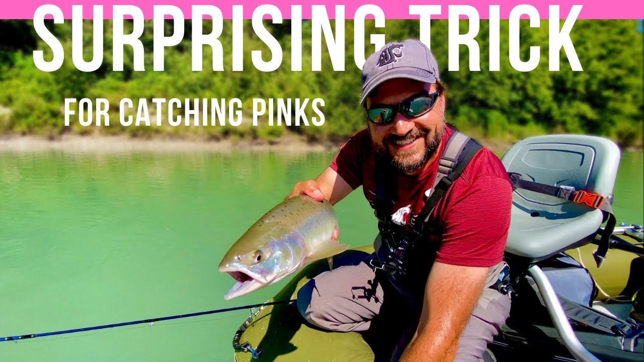 Fly Fishing for Pink Salmon in the PNW - How-to, Tactics & Success on the  Skagit River! 