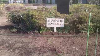 フレール西新井中央公園 Ur都市機構のアパート マンション賃貸物件情報