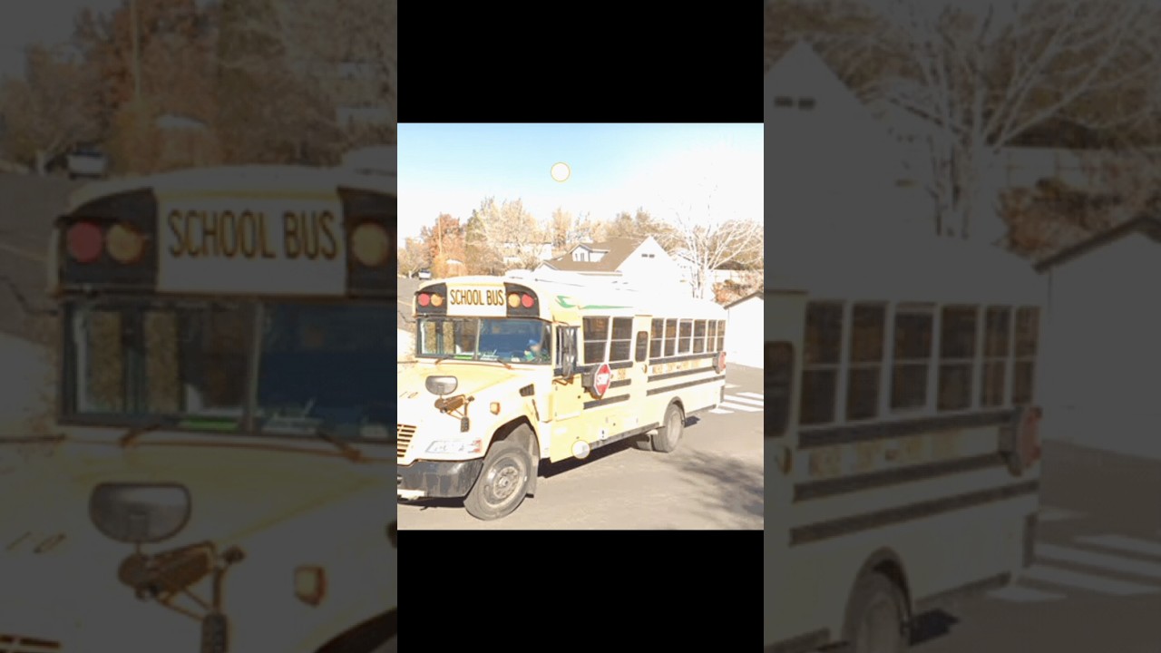 Awesome School Bus, credited to Google maps., PatrickRich