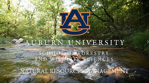 Auburn University Natural Resources Management Degree