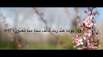 القارئ عبدالرحمن مسعد, من سورة الحج