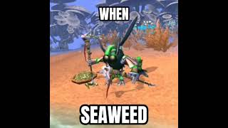 WHEN SEAWEED