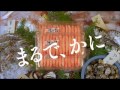 スギヨ香り箱・かにちゃいまっせ　『極めた味』 篇