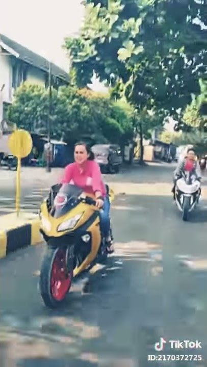 Asu bajingan