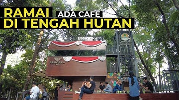 Bikin Betah!! Cafe di Tengah Hutan yang Instagramable [Arborea Cafe]