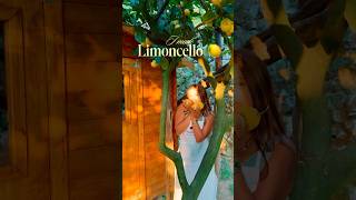 I learnt how to make Limoncello in Sorrento, Italy