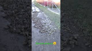 Эх, дороооги!