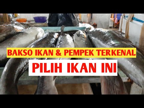 Bakso Ikan Kemasan
