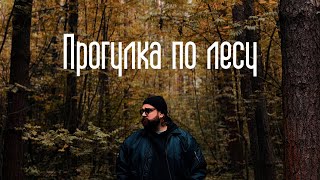 Прогулка по лесу (Cinematic Mode IPHONE 14 PRO MAX)