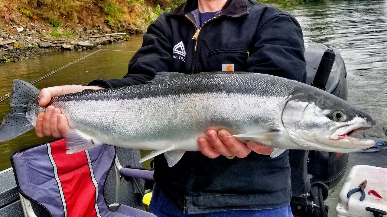 Uploads from Addicted Fishing