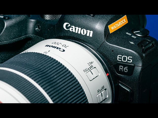 Canon RF70-200mm F4 L IS USM 動体性能 w/EOS R6 - YouTube