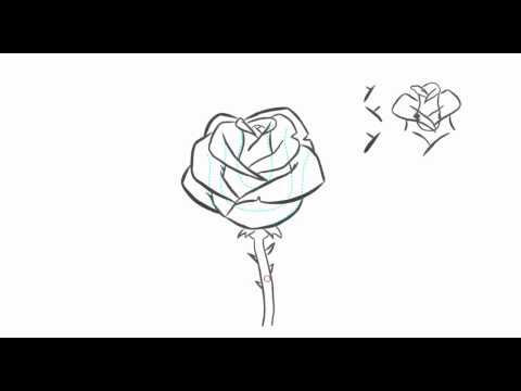 วิธีการวาด ดอกกุหลาบ1