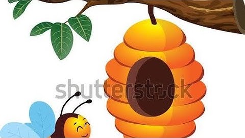 How to Draw a Honeycomb | Easy Step-by-Step Drawing for Beginners & Kids 🐝