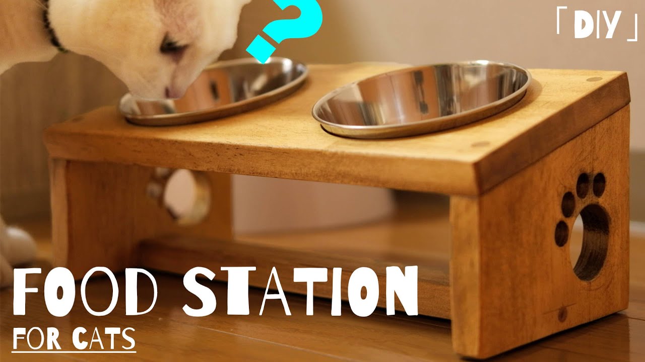 Diy 角度付きペット食事台 餌台 How To Build A Pets Food Station Youtube