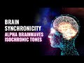 Self Tuning Brain Entrainment | Brain Synchronicity | Hemi Sync | Alpha Brain Waves Isochronic Tones