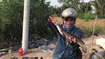Giao lưu cùng cần thủ cường ở điểm câu mới....Nguyễn Công TV fishing