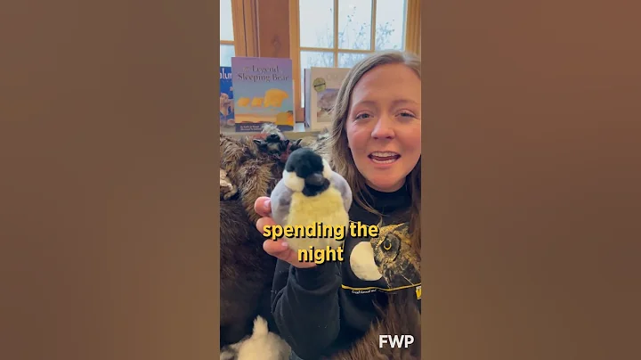 How does wildlife survive the extreme cold?  #WildlifeWednesday  #wildlife  #nature #outdoors #birds