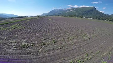 First FPV flight with Eachine wizard X220S (No crash)