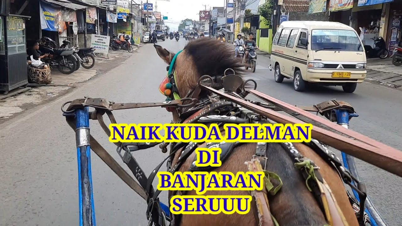 KUDA DELMAN (AFRIN NAIK KUDA DELMAN DI BANJARAN )..