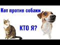 Кот против собаки | Кто я?