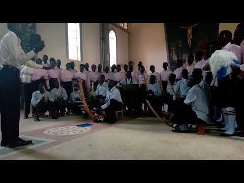 Eco Tu Su Am Adria By Holly Mary Choir Binze At Ombaci Mock