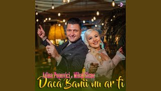 Video thumbnail of "Adina Popovici - Dacă banii nu ar fi (feat. Mihai Sicoe)"