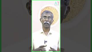 கசகசா: ஆண்மையை அதிகரிக்கும் அருமருந்து!  | Healthy Tips | kasakasa benefits
