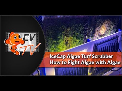 Algae Scrubbers EXPLAINED: How to Install IceCap&rsquo;s Algae Turf Scrubber to Reduce Nuisance Algae