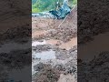 Looking for a teacher online to teach me. I haven't dug a lobster field for a long time.😭😭😭
