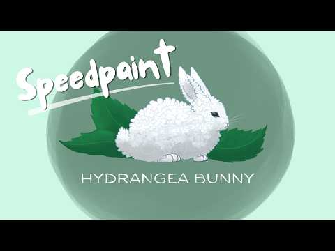 Art Speedpaint | Hydrangea Bunny