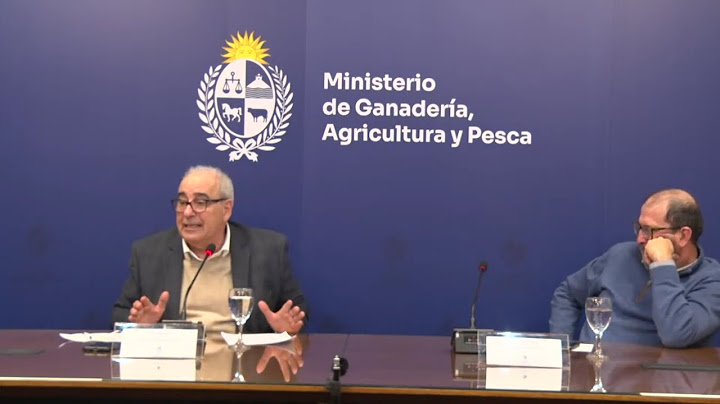 Conferencia de Prensa