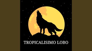 Video thumbnail of "Tropicalísimo Lobo - Viviendo de Noche"