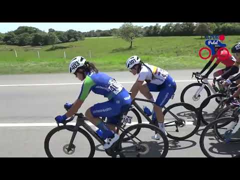 Resumen primera etapa