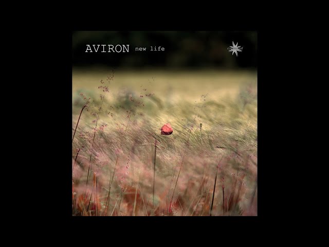 Aviron - New Life