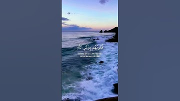 تلاوة من سورة الرعد 🌿بصوت القارئ عبد الرحمن مسعد 🌿