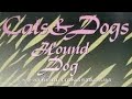 HOUND DOG / CAT&rsquo;S &amp; DOGS/ハウンドドッグ/liveビデオ フルバージョン
