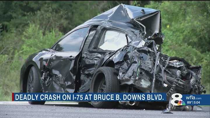 Man standing outside truck killed after multiple vehicles collide on I-75