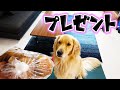 まる君に手作りプレゼント!