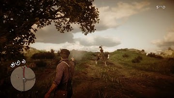 John collects worn Rolling Block Rifle 1 (New Hanover) - Red Dead Redemption 2