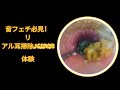 音フェチ必見 リアル耳掃除ASMR体験 音フェチ必見 リアル耳掃除ASMR体験