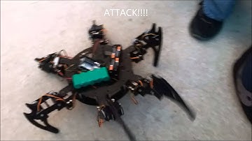 SELU Computer Science Project - LynxMotion CHR-3 Hexapod Robot