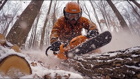 Amazing Fastest Skill Huge Tree Felling With Chainsaw, Dangerous Stihl Chainsaw Cutting Tree Down