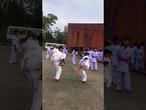 nepali kyokushin karate playre 🌹🌹kirtipur kathmandu nepal नेपाल # rajan series #bj rai#rajan