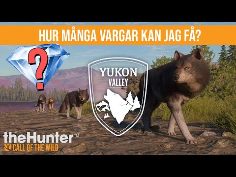 HUR MÅNGA VARGAR KAN JAG FÅ PÅ EN TIMMA? + DIAMANT? | The Hunter Call of the Wild
