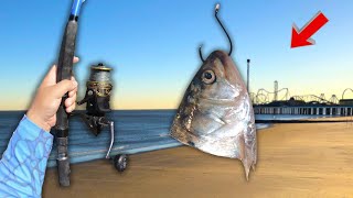 THIS IS WHY YOU SURF FISH IN GALVESTON! (INSANE DAY OF FISHING!)